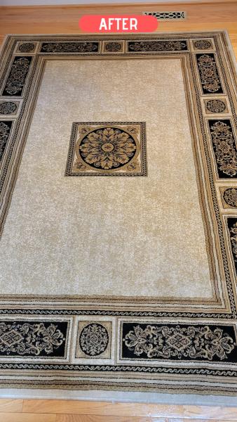 OEO Carpet and Upholstery Cleaning