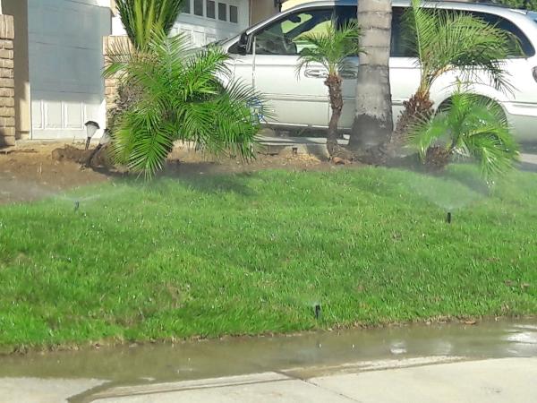 Aidan Jade Landscaping