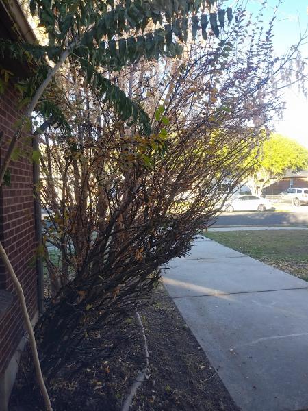 Grassslayers Property Maintenance