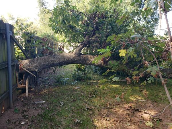Vernon's Tree Care