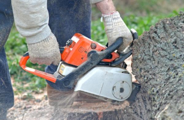 Armando's Tree Service