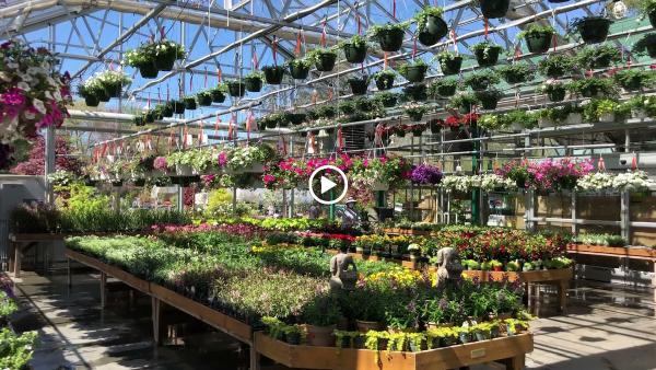 Sam Bridge Nursery & Greenhouses