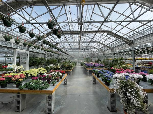 Sam Bridge Nursery & Greenhouses