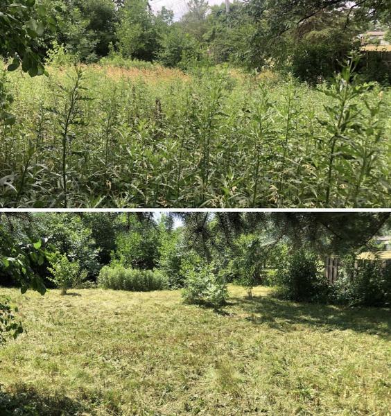 Simplex Lawn Care
