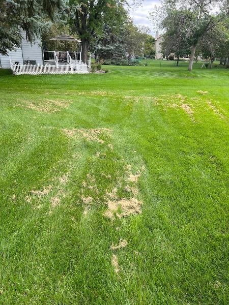 Simplex Lawn Care