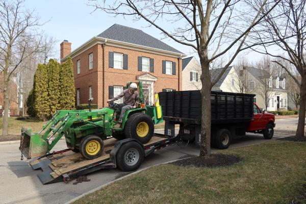 Arch Tree Service