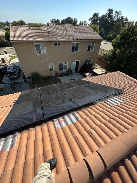 Valley Pigeon Pros