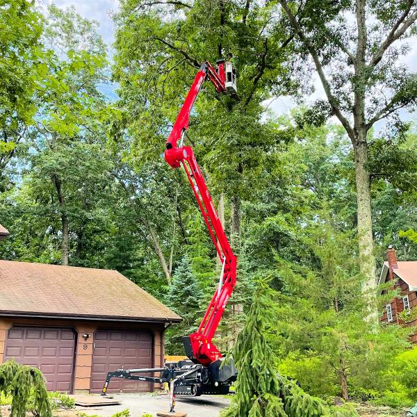 Treeco Solutions