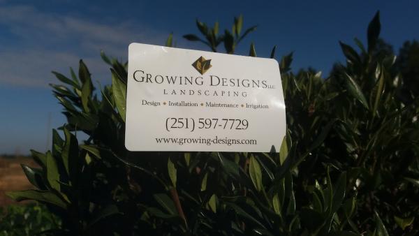Growing Designs