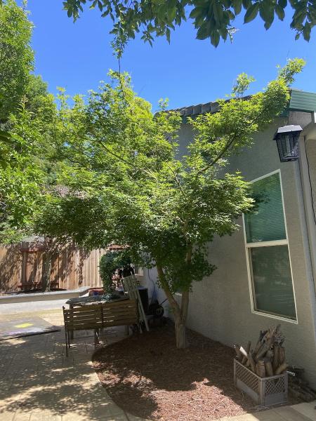 H G Tree Service