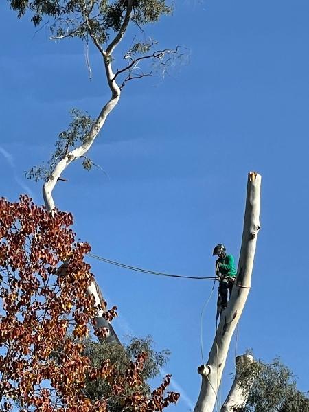H G Tree Service