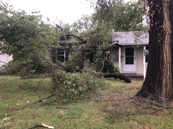 Lawrence Tree Service