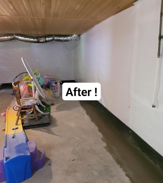 Dri-Wrx Mold & Water Removal the Firm For Restoration