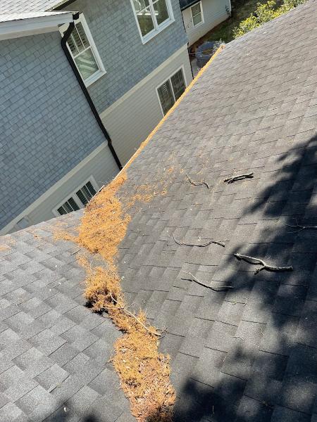 Tobacco Road Gutters LLC