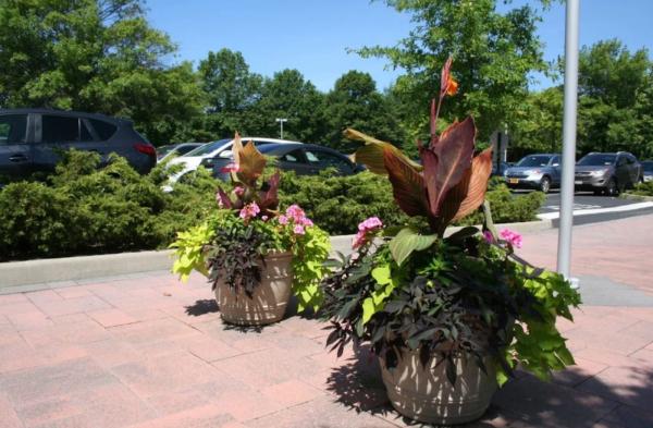 Fiorini Landscape & Snow Removal