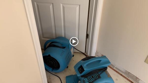 Ultimate Water Damage Restoration