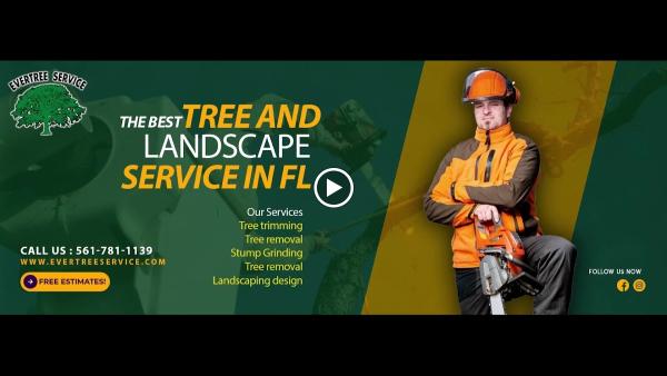 Tree Service West Palm Beach