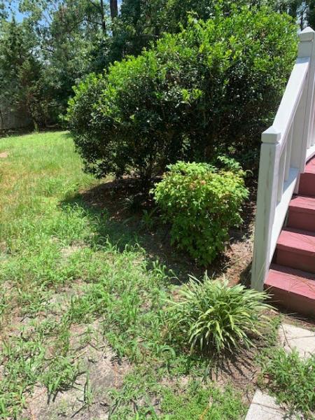 OAK Tree Service