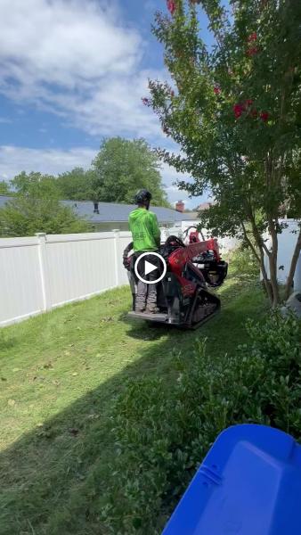 Southern Maryland Tree Service