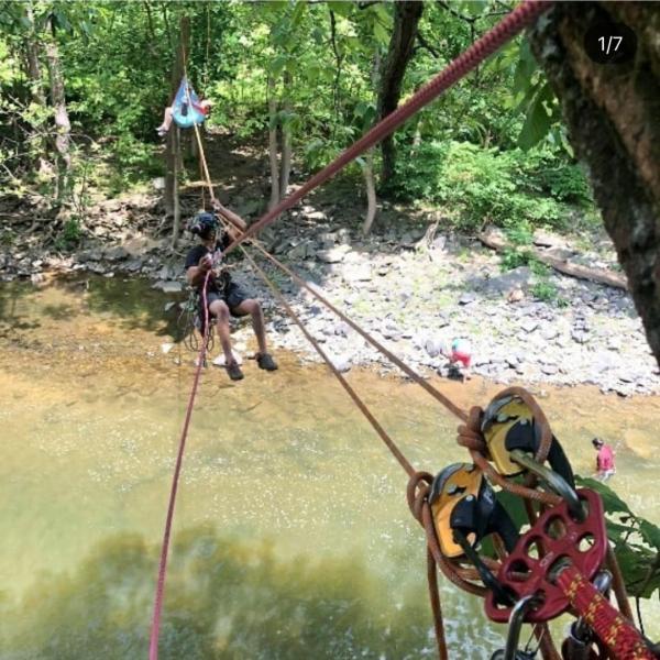 Southern Maryland Tree Service