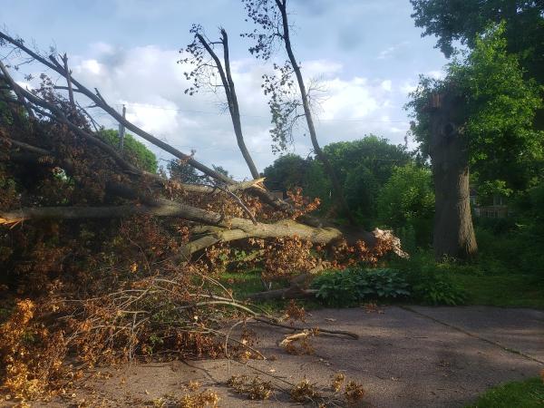 Hart's Tree Service