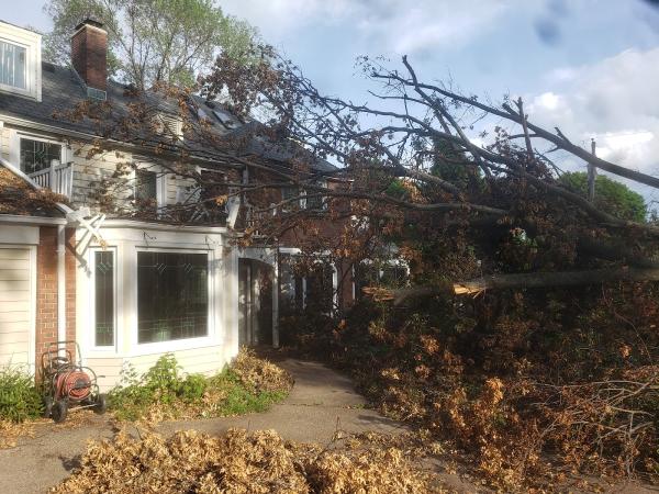 Hart's Tree Service