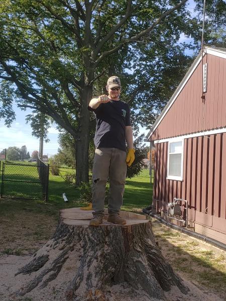 Hart's Tree Service