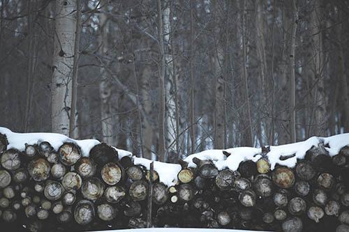 Southlake Tree Service & Stump Grinding