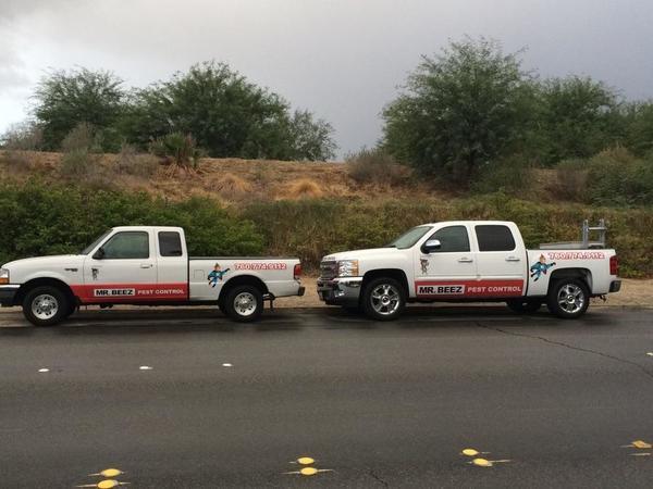Mr. Beez Termite & Pest Control