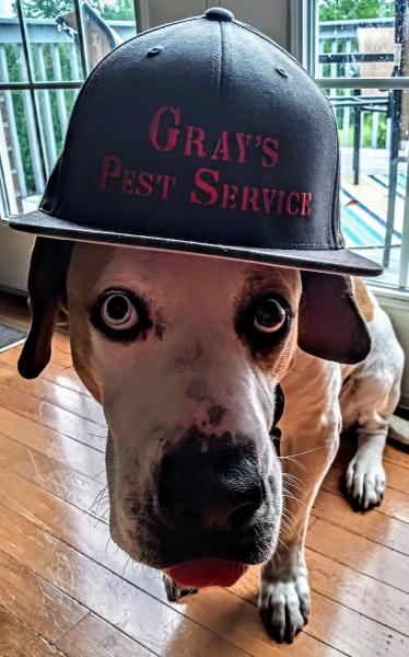 Gray's Pest Service