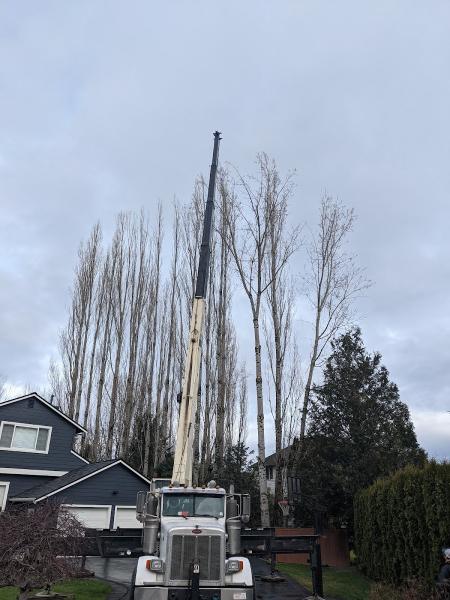 Beckner Tree Care