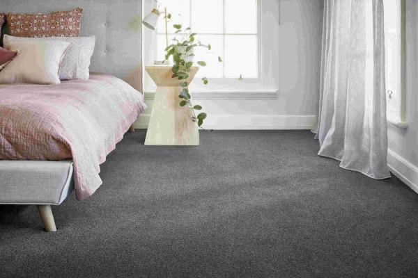 Picture Perfect Carpet Care