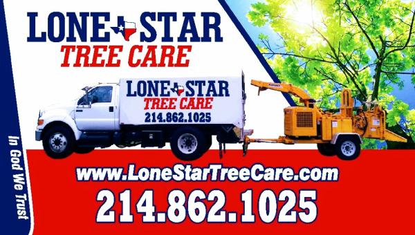 Lone Star Tree Care