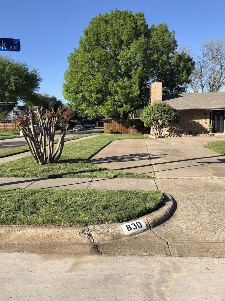 Lone Star Tree Care