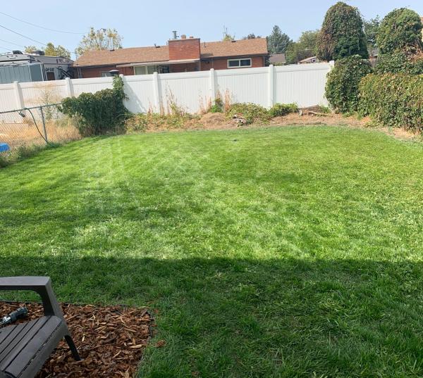 Insta Lawn