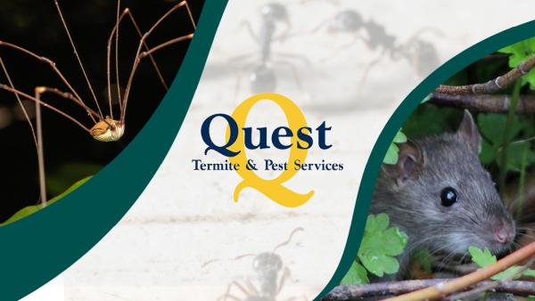 Quest Termite & Pest Services
