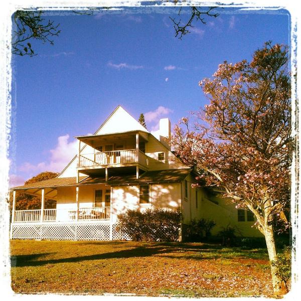 Maui Architectural Group Inc