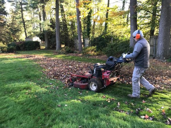 Martin's Landscaping