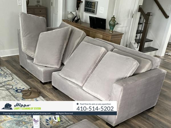 Hippo Carpet Cleaning