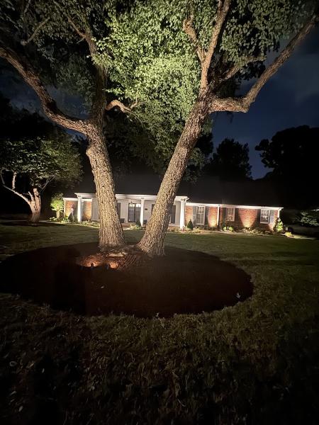 Covenant Pool and Landscape
