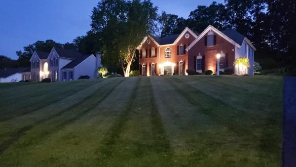 Solution Driven Landscaping