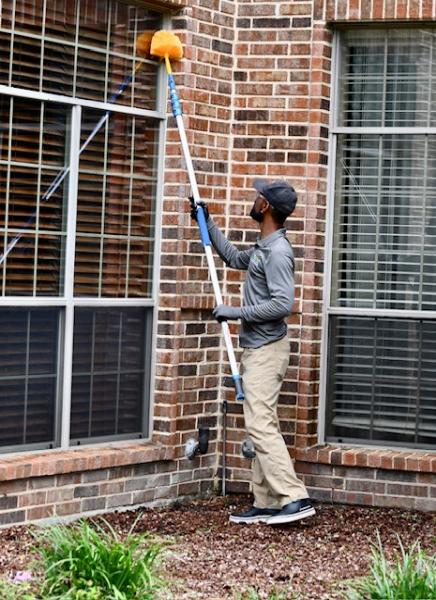 Home Run Pest & Termite Control