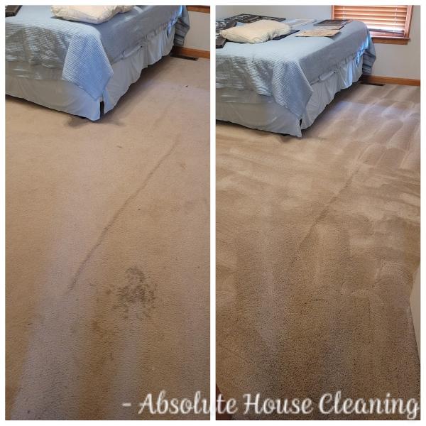 Absolute House Cleaning