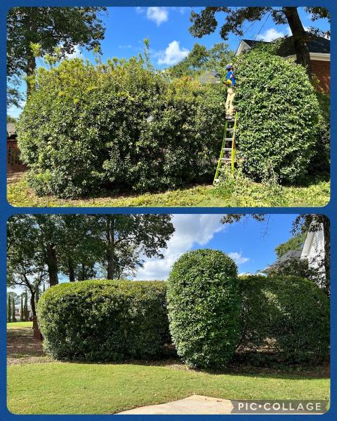 Modern Day Landscaping