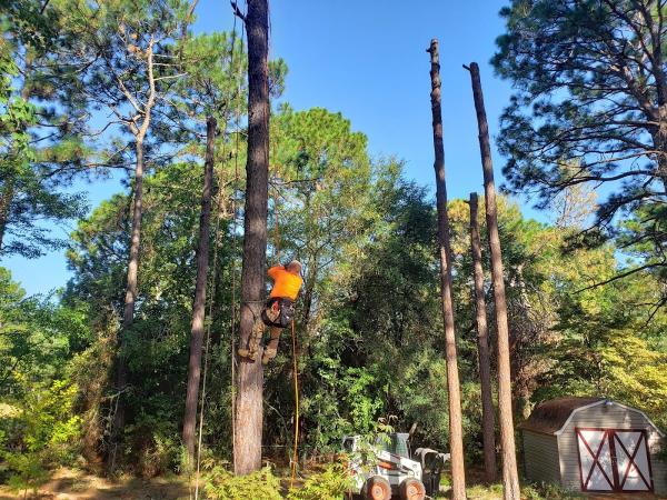 Harvester Tree Service