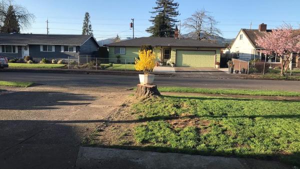 A and C Tree Service