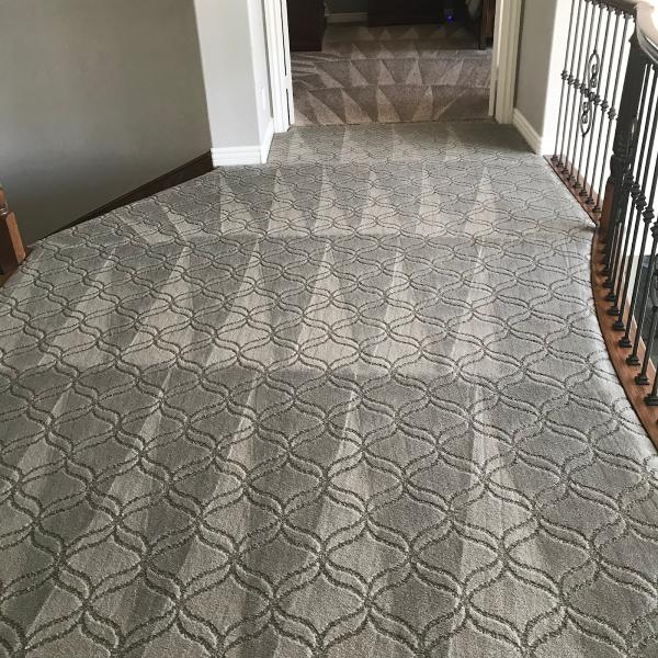 Holts Carpet Care