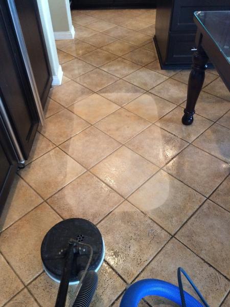 Holts Carpet Care