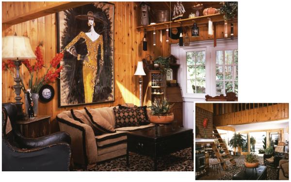 Blue Dolfin Interiors