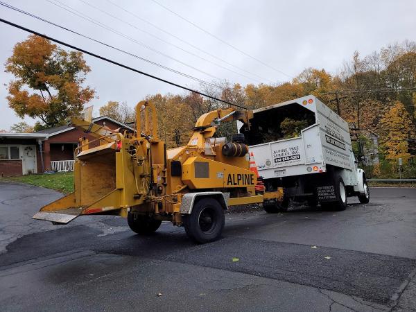 Alpine Tree Service Inc